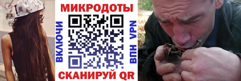 наркотики Кяхта Галлюциногенные грибы MAGIC MUSHROOMS